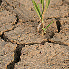 klicken zum vergr&ouml;&szlig;ern